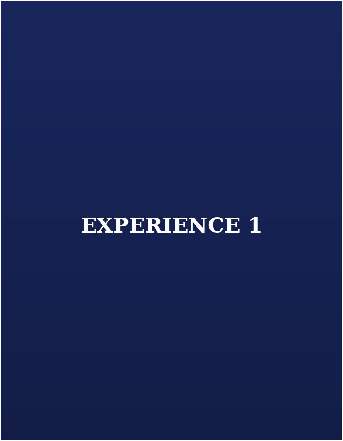 experience 1