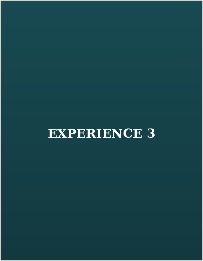 experience 3