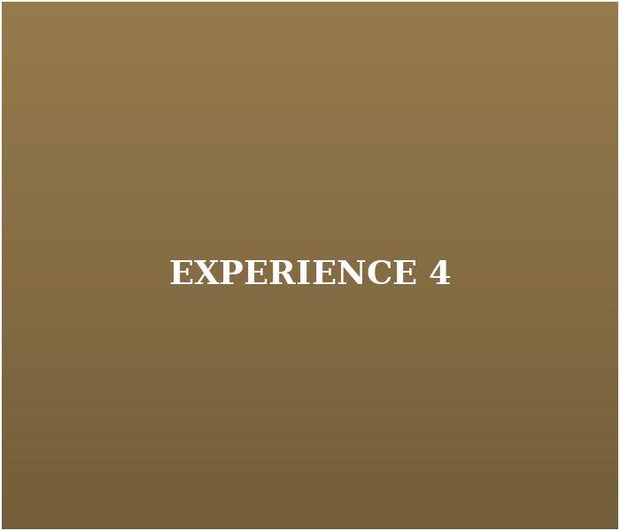 experience 4