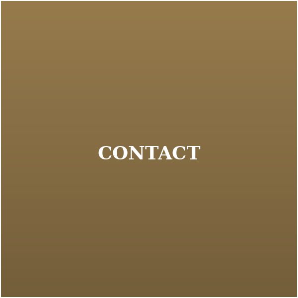 explore contact